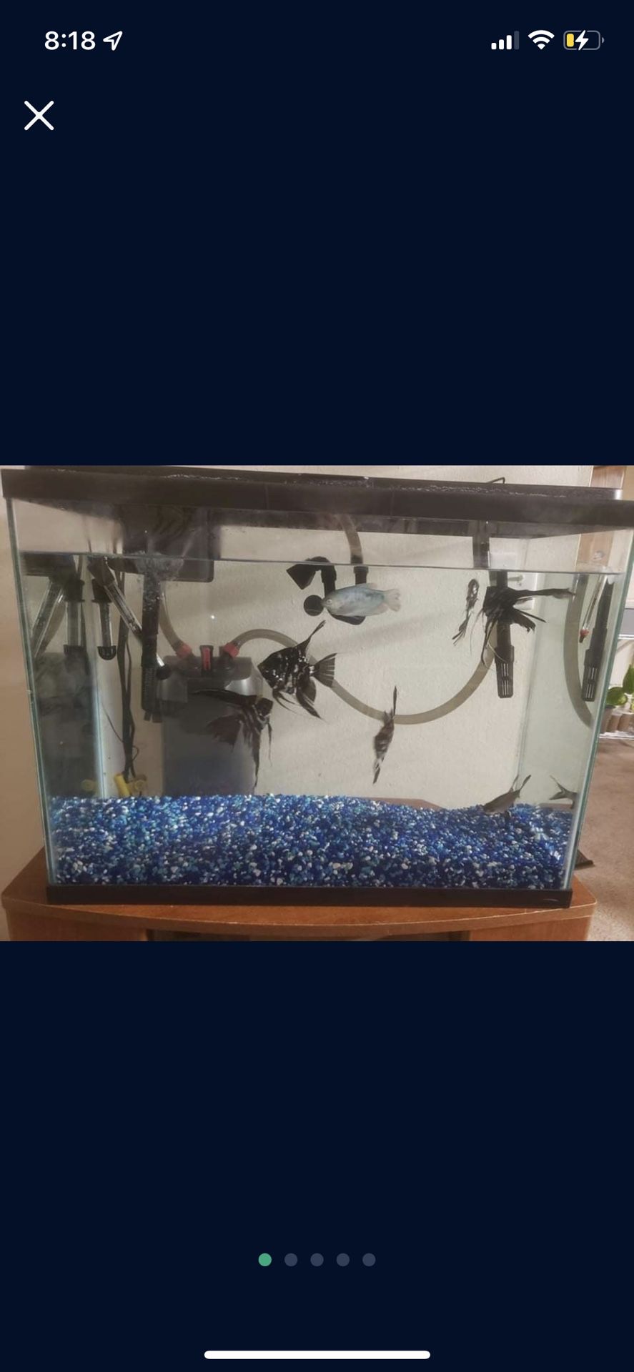 fish tank !! 