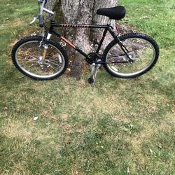 26” Specialized Mountain Bike (xl Frame)