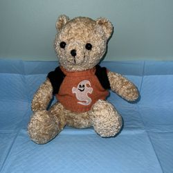 Teddy Bear Plushie With Halloween Shirt 