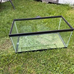 40 gallon fish tank