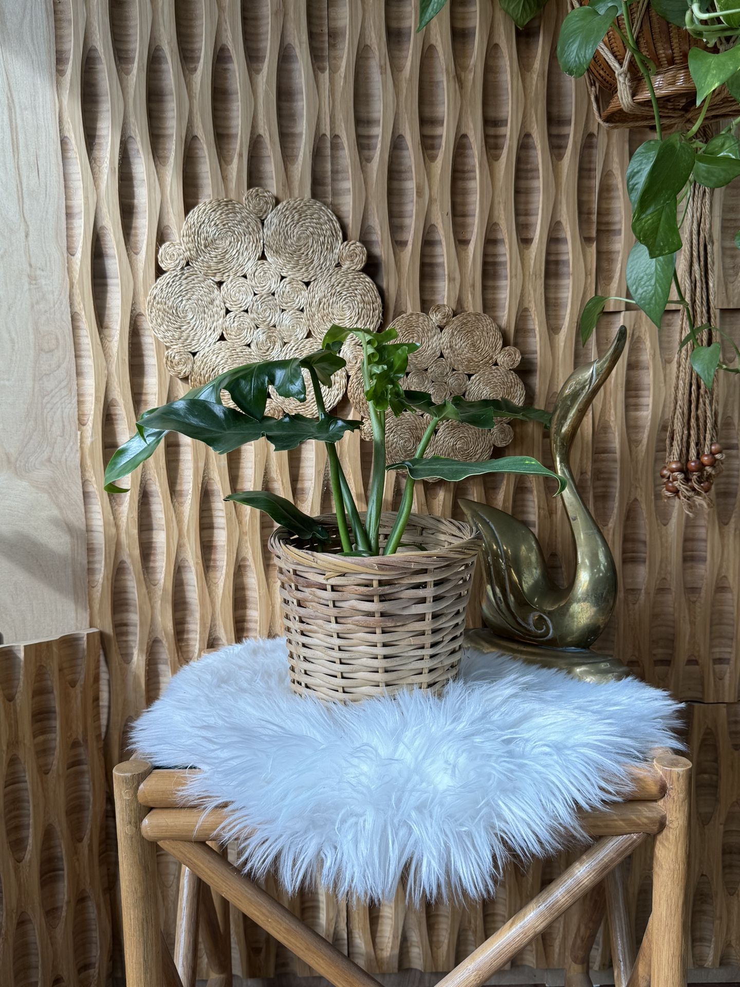 Vintage Wicker Basket Plant Pot Planter Woven Rattan Boho Storage Container Decor Gift Coastal Farm