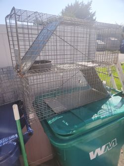 2 Critter traps