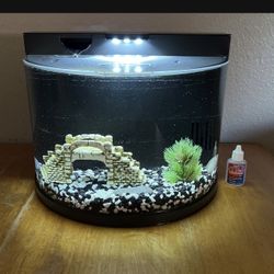Betta Fish Tank