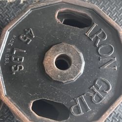 45 lb Iron Grip Plates  （2pc）