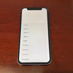 iPhone 12 Mini blue