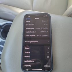 iPhone 12 Pro Max 