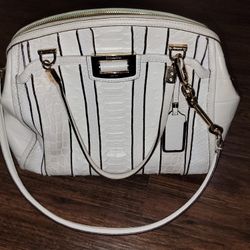 Coach Madison Domed Satchel in Exotic Stripe Leather 30103 LI/White Multi