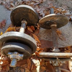 Dumbbells And Weights 