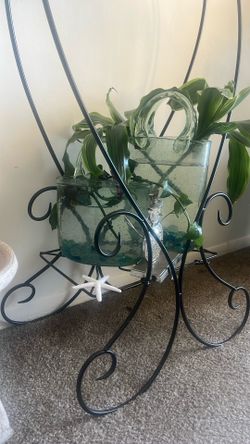 Glass Purse House Plants A Pair Of Two