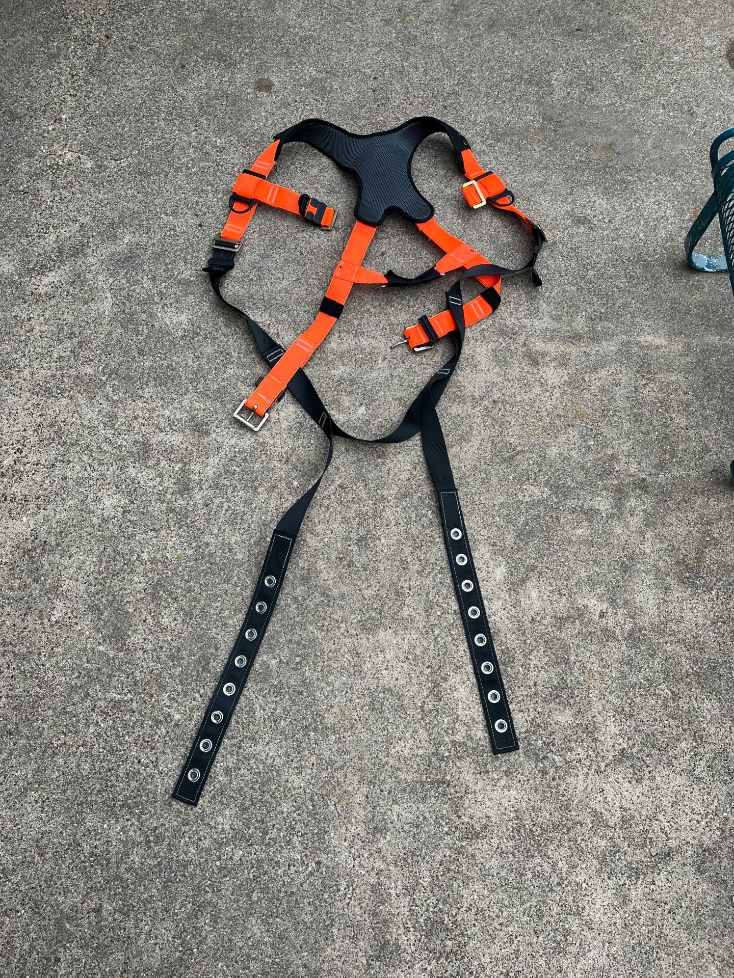 Body harness