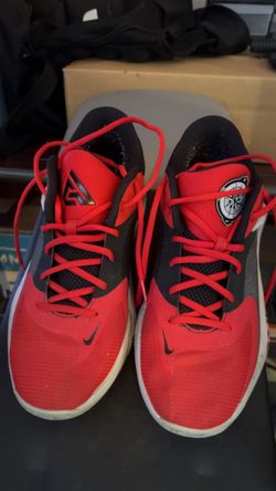 Giannis Zoom Freak 4 “ Safari” size 10.5