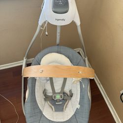 Ingenuity Swing 