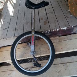 Schwinn Unicycle 