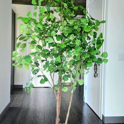 72" Artificial Tree | Ceramic Pot |Home Decor
