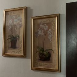 Framed Flower Pictures