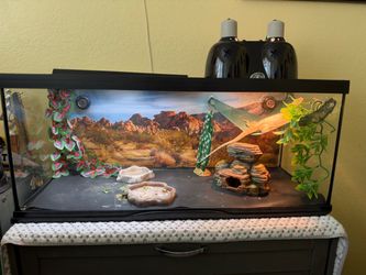 40 Gallon Reptile Aquarium