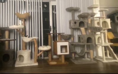 Cat tree/cat condo for sale 1for$50/5for$200