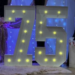LED Numbers 7 & 5 
