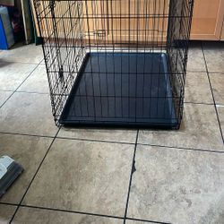 Metal Dog Crate With Plastic Tray, 42"