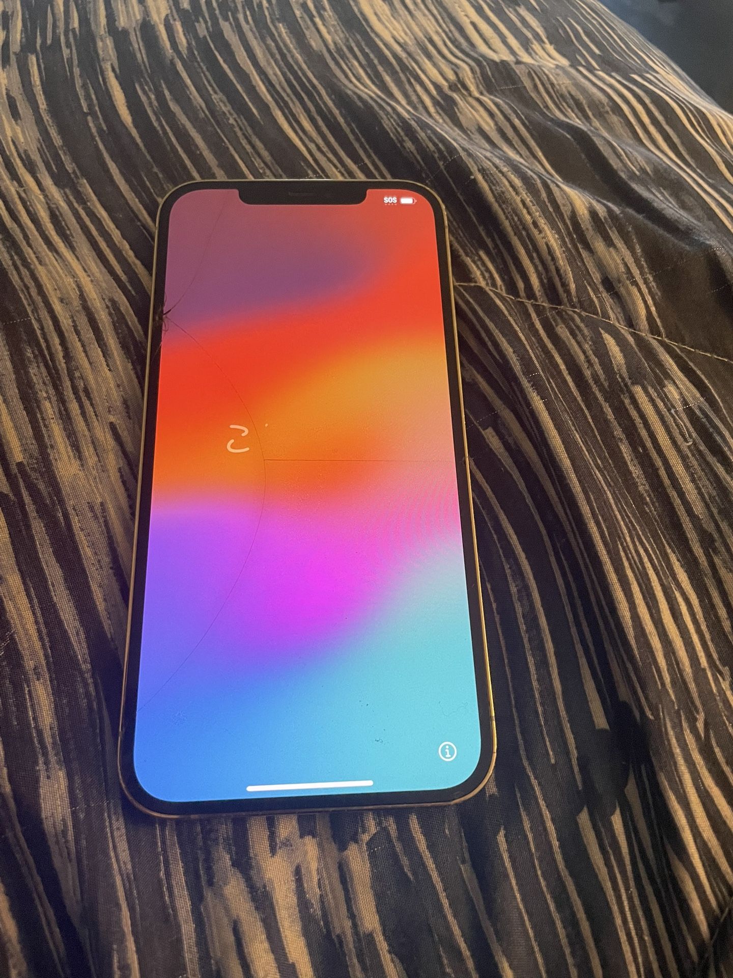 iPhone 12 Pro Max