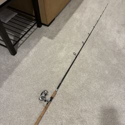 Daiwa Laguna 2000-5bi spinning reel with Shimano Clarus CSS-70MHC 7’1 casting rod fishing combo