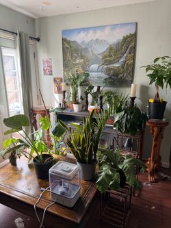All plants $180