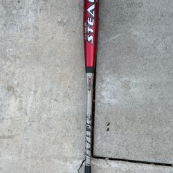 Easton Baseball Bat