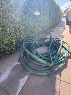 Water hose