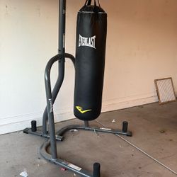 Punching bag and stand