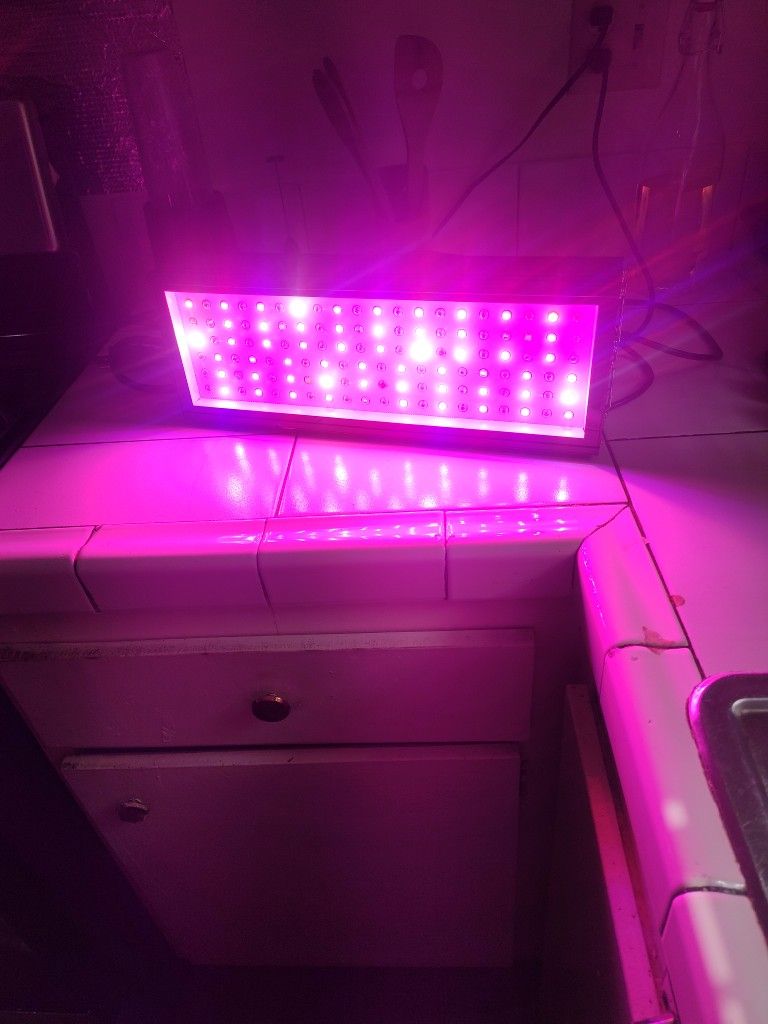 Grow Light