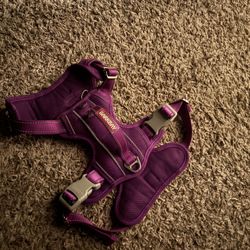 Dog Harness