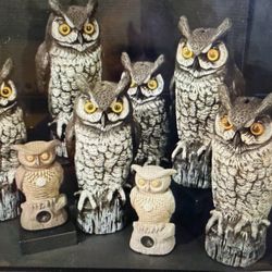 Vintage 1990 Dalens Products Plastic Garden Owl Blow Mold Decoy 16” Tall