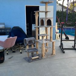 Free Cat Trees