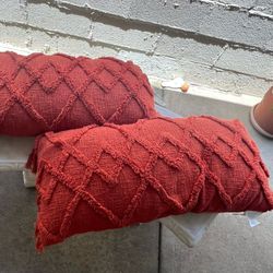 2 Large Pillows
