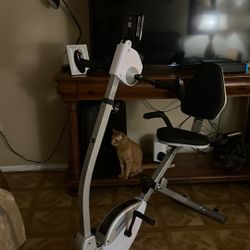 stamina recumbent  excercise bike with upper body excercise