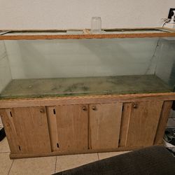 Big Fish Tank/Reptile Tank