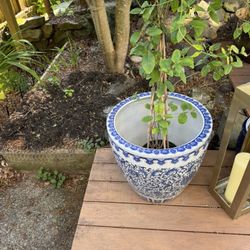 William Sonoma Patio Vase