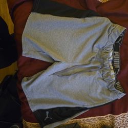 Puma Gray With Black Striped Shorts 