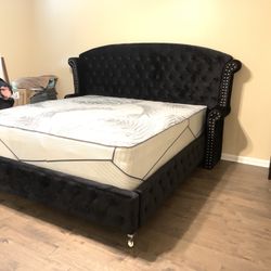 Queen Size Black Tufted Velvet Platform Bed 