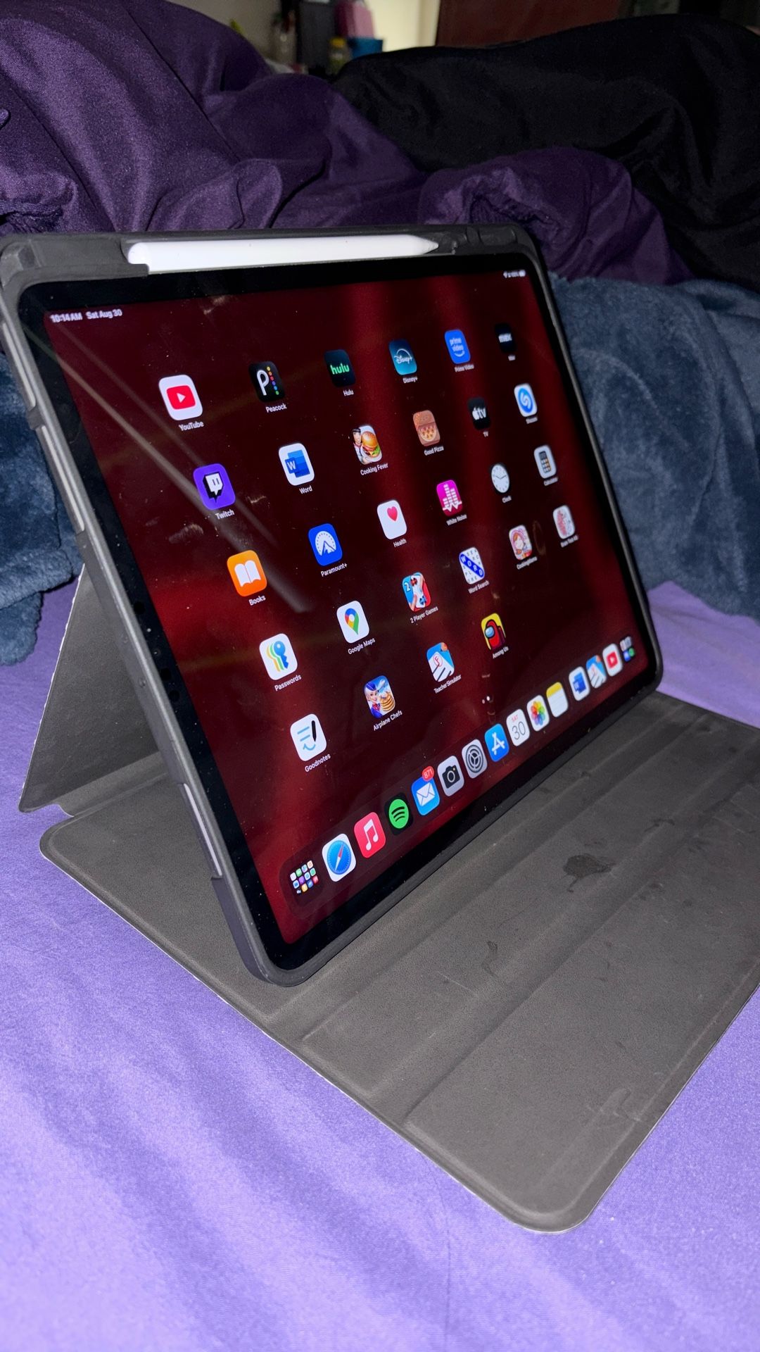 iPad Pro 