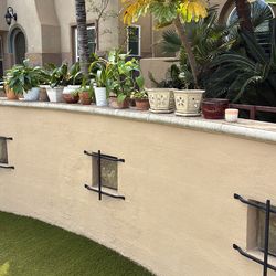 FREE! Indoor plants and small pots need a good home!