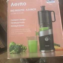 Slow Juicer 