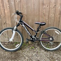 24” Schwinn bike for kids, youth