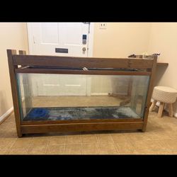 55 Gallon Aquarium Setup
