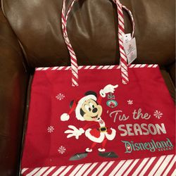 Disney bag