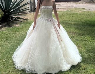 Champagne quinceañera dress…vestido de Quinceañera