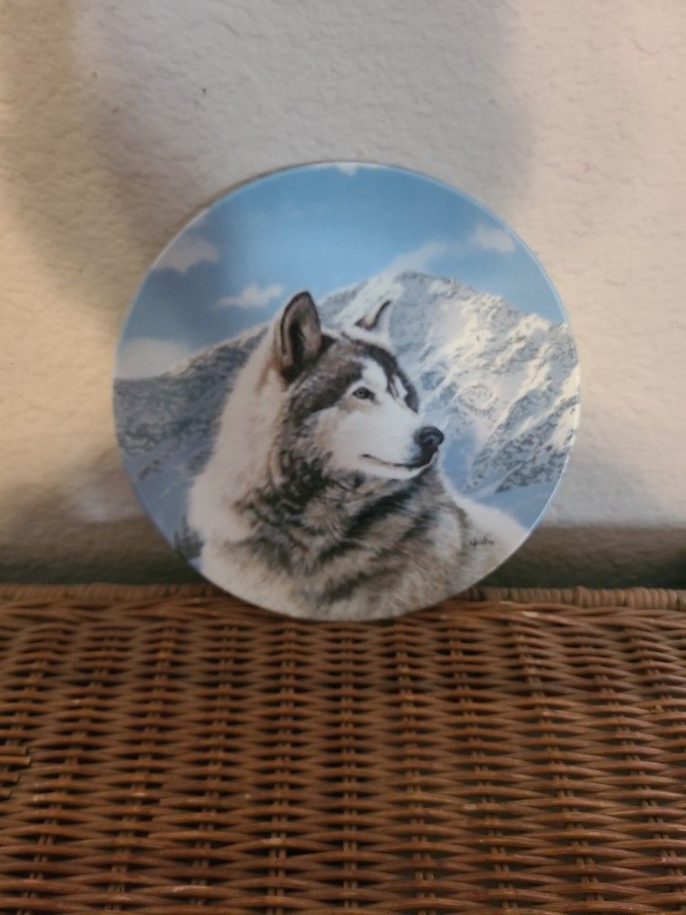 porcelain collectors plate