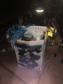 Giant box of Halloween decor