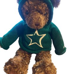 VTG Gund Hope Millenium 2000 Plush 26" Teddy Bear Green Hoodie Limited Kaufmanns. Great Condition is "Used".  T-229