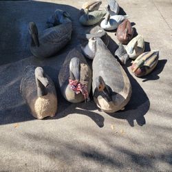 Decoys And Old Saddle